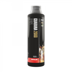 Guarana 2000 (500 ml, cola)