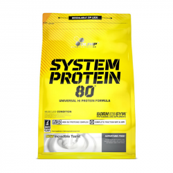 System Protein 80 (700 g, chocolate)