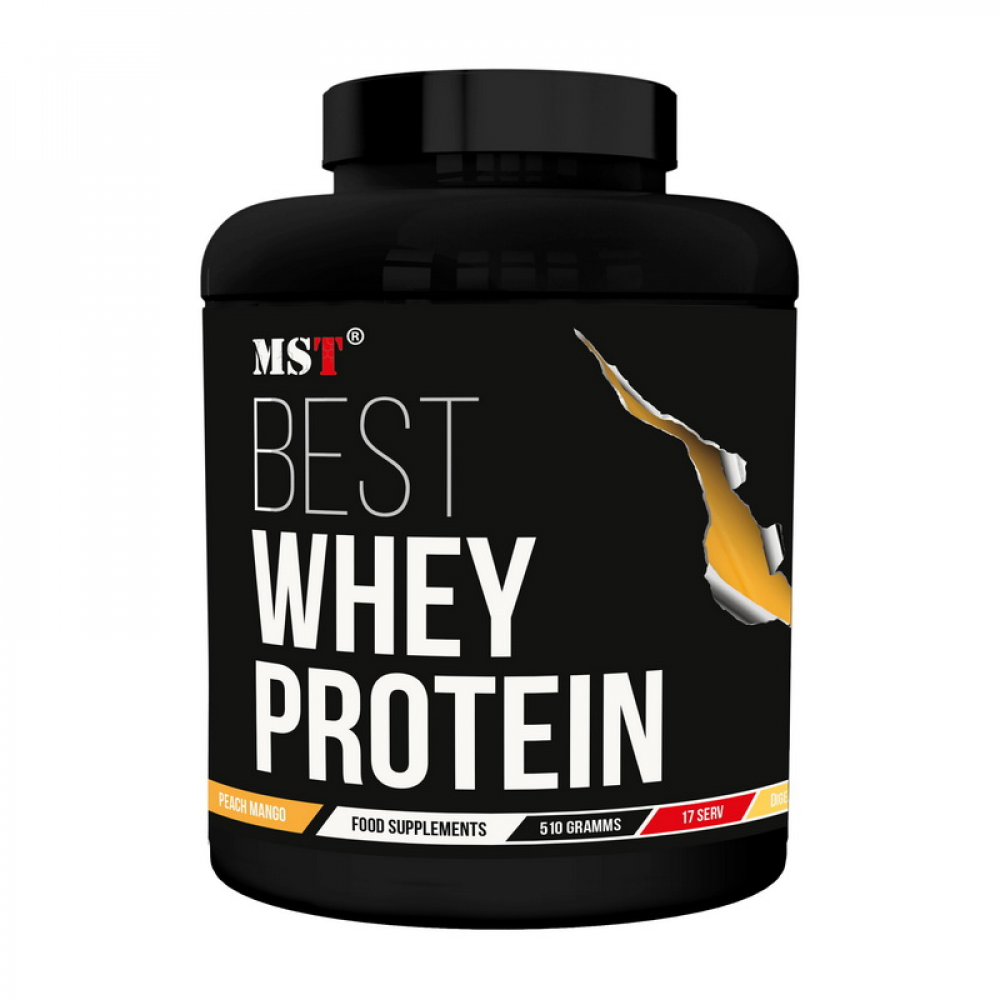 Best Whey Protein + Enzyme (510 g, chocolate)