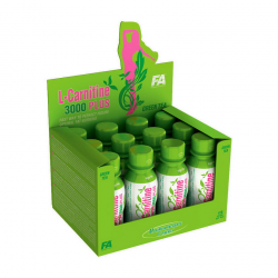 L-Carnitine 3000 Plus (12 x 100 ml, green tea)