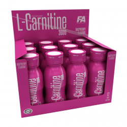 L-Carnitine 3000 (12 x 100 ml, fruit)