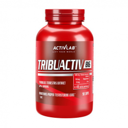 Tribuactiv B6 (90 caps)