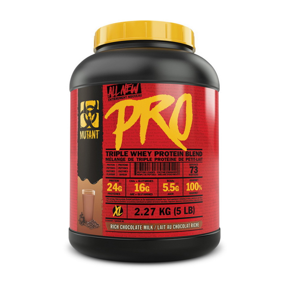 PRO 100 (1,8 kg, peanut butter chocolate chip)