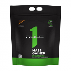 Mass Gainer (5,2 kg, chocolate fudge)