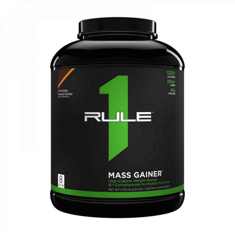 Mass Gainer (2,6 kg, chocolate fudge)