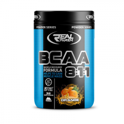 BCAA 8:1:1 (400 g, blueberry)