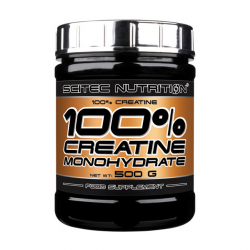 100% Creatine Monohydrate (500 g, unflavored)