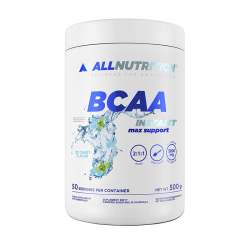 BCAA Instant Max Support (500 g, orange)