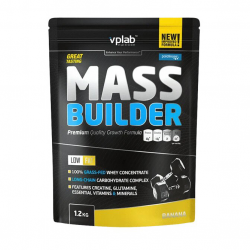 Mass Builder (1,2 kg, strawberry yoghurt)