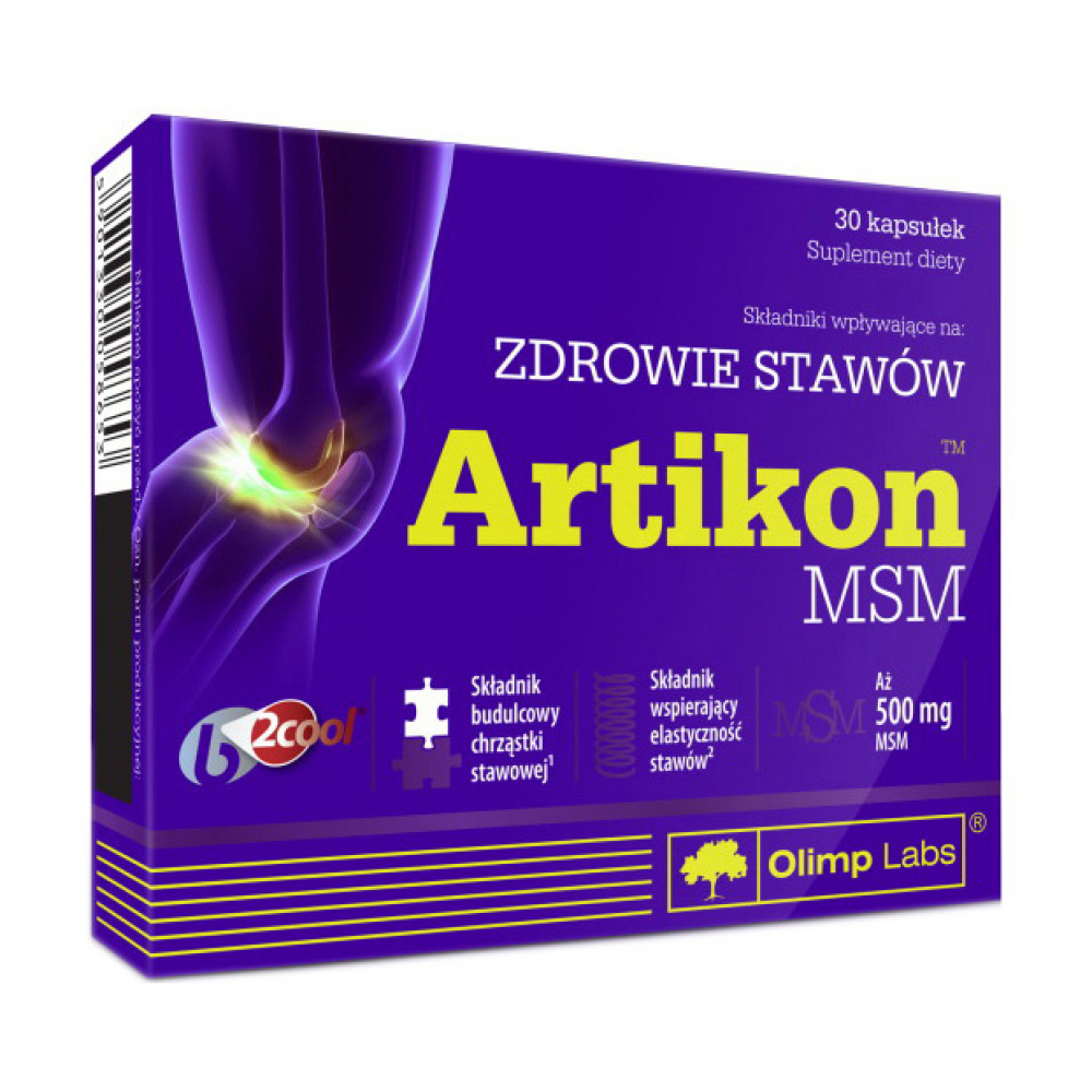 Artikon MSM (30 caps)