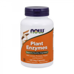 Plant Enzymes (120 veg caps)