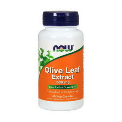 Olive Leaf Extract 500 mg (60 veg caps)