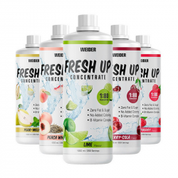 Fresh Up Concentrate 1:80 (1 l, black currant)