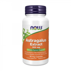 Astragalus Extract 500 mg (90 veg caps)