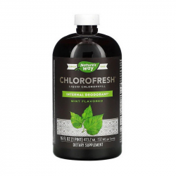 Chlorofresh Liquid Chlorophyll (473 ml, mint)